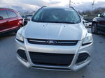 2016 Ford Escape Se Silver vin: 1FMCU9G9XGUA62840