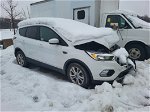 2017 Ford Escape Se White vin: 1FMCU9GD1HUE56023