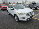 2017 Ford Escape Se vin: 1FMCU9GD2HUE76801