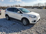 2019 Ford Escape Se White vin: 1FMCU9GD3KUB51677