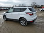 2017 Ford Escape Se White vin: 1FMCU9GD5HUC53720