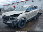 2017 Ford Escape Se Brown vin: 1FMCU9GD6HUC88508