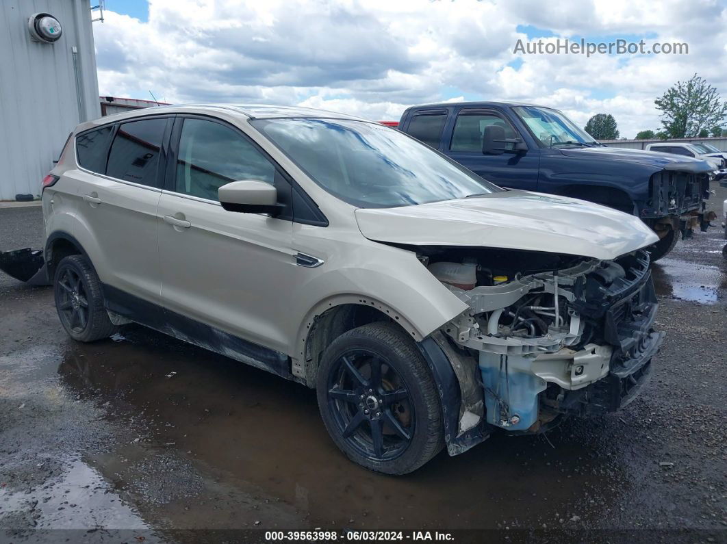 2017 Ford Escape Se Коричневый vin: 1FMCU9GD6HUC88508