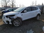 2017 Ford Escape Se White vin: 1FMCU9GD7HUE23172