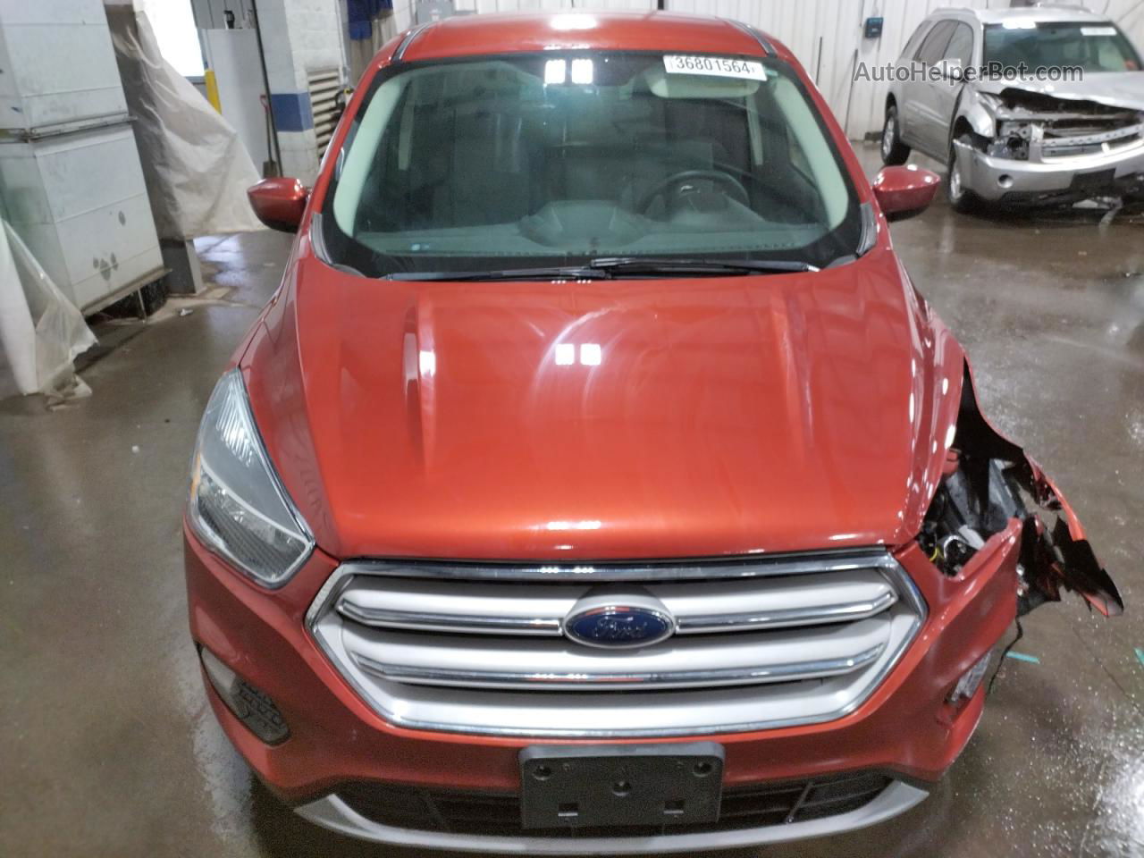 2019 Ford Escape Se Orange vin: 1FMCU9GD7KUB34851