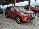 2019 Ford Escape Se Red vin: 1FMCU9GD7KUB56090