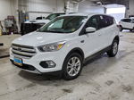 2019 Ford Escape Se White vin: 1FMCU9GD7KUB64304