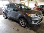 2017 Ford Escape Se Gray vin: 1FMCU9GD9HUA86603