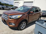 2017 Ford Escape Se Orange vin: 1FMCU9GD9HUB23925