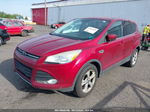 2013 Ford Escape Se Red vin: 1FMCU9GX0DUC10651