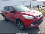 2013 Ford Escape Se Red vin: 1FMCU9GX0DUC10651