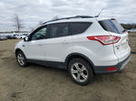 2013 Ford Escape Se White vin: 1FMCU9GX0DUC30379