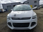 2013 Ford Escape Se White vin: 1FMCU9GX0DUC30379