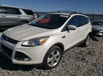 2013 Ford Escape Se White vin: 1FMCU9GX0DUC99766