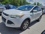 2013 Ford Escape Se White vin: 1FMCU9GX0DUD26481