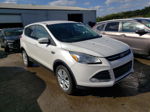 2014 Ford Escape Se White vin: 1FMCU9GX0EUB70265