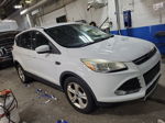 2014 Ford Escape Se Unknown vin: 1FMCU9GX0EUC02602