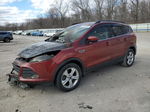 2014 Ford Escape Se Бордовый vin: 1FMCU9GX0EUC43117