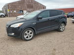 2014 Ford Escape Se Black vin: 1FMCU9GX0EUD12145