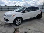 2014 Ford Escape Se White vin: 1FMCU9GX0EUD69705