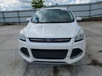 2014 Ford Escape Se White vin: 1FMCU9GX0EUD69705