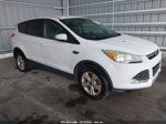 2014 Ford Escape Se Белый vin: 1FMCU9GX0EUE28428