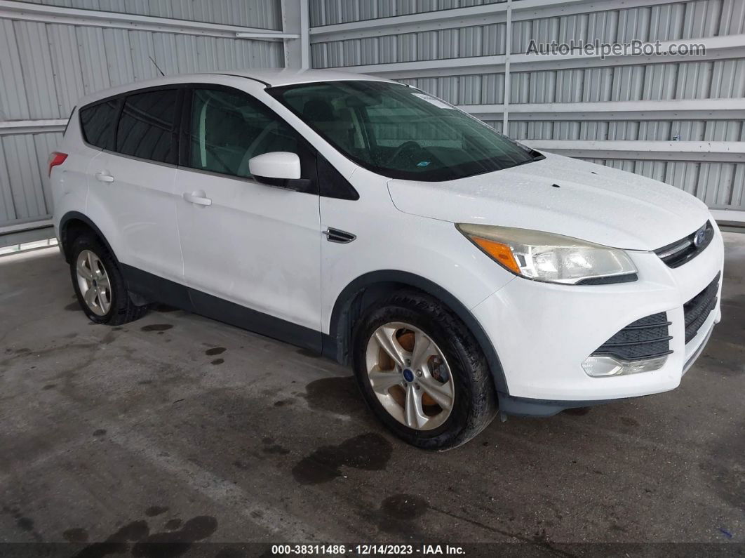 2014 Ford Escape Se White vin: 1FMCU9GX0EUE28428