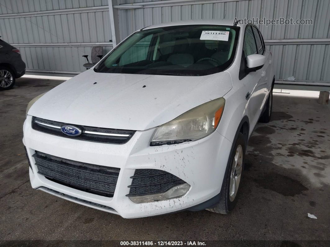 2014 Ford Escape Se White vin: 1FMCU9GX0EUE28428