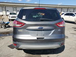 2014 Ford Escape Se Gray vin: 1FMCU9GX0EUE44841