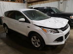 2015 Ford Escape Se White vin: 1FMCU9GX0FUB62278