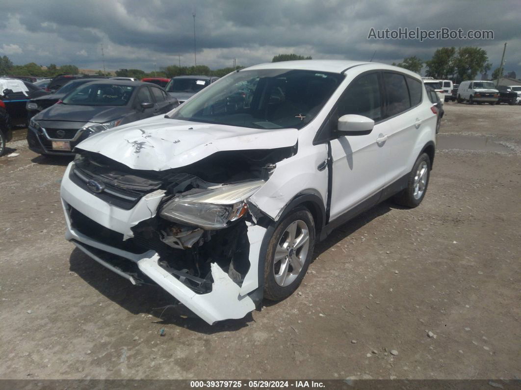 2015 Ford Escape Se White vin: 1FMCU9GX0FUC23015