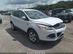 2015 Ford Escape Se White vin: 1FMCU9GX0FUC23015