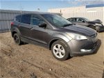 2016 Ford Escape Se Gray vin: 1FMCU9GX0GUA21521