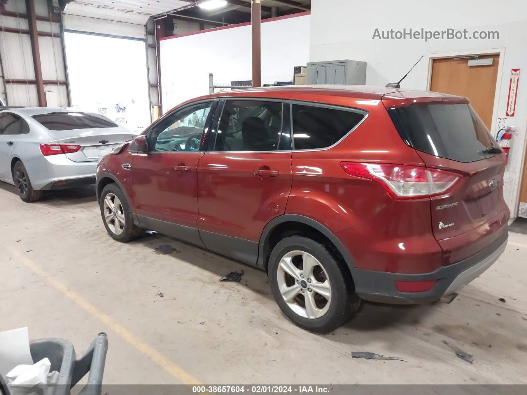 2016 Ford Escape Se Красный vin: 1FMCU9GX0GUA29635