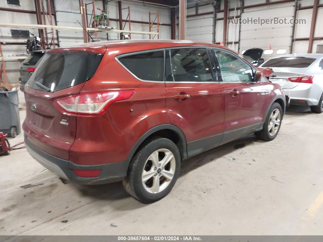 2016 Ford Escape Se Красный vin: 1FMCU9GX0GUA29635