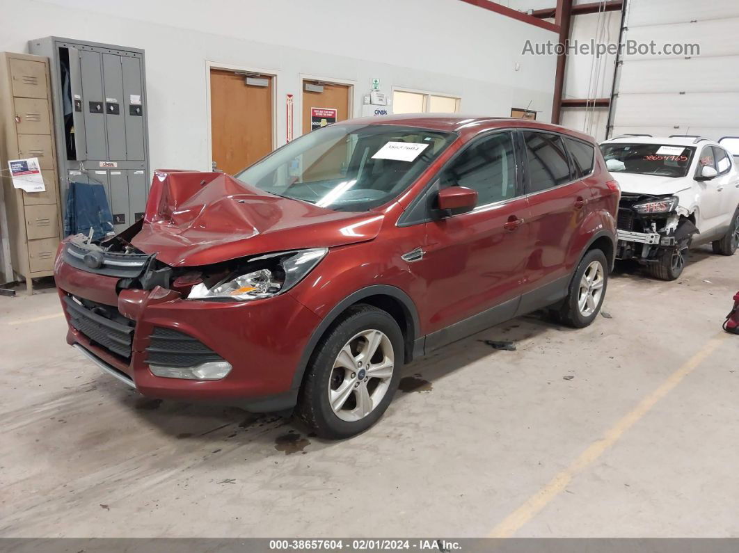 2016 Ford Escape Se Красный vin: 1FMCU9GX0GUA29635