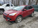 2016 Ford Escape Se Red vin: 1FMCU9GX0GUA57239