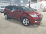 2016 Ford Escape Se Maroon vin: 1FMCU9GX0GUC11108