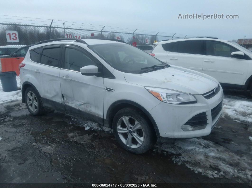 2016 Ford Escape Se Белый vin: 1FMCU9GX0GUC22321