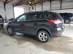 2013 Ford Escape Se Черный vin: 1FMCU9GX1DUC82717