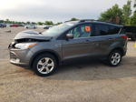 2013 Ford Escape Se Gray vin: 1FMCU9GX1DUD58517