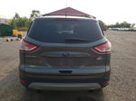 2013 Ford Escape Se Gray vin: 1FMCU9GX1DUD58517