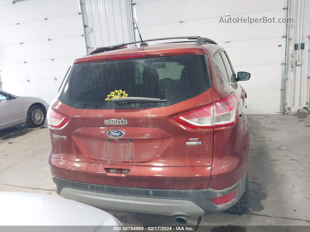 2014 Ford Escape Se Оранжевый vin: 1FMCU9GX1EUB08700