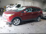 2014 Ford Escape Se Оранжевый vin: 1FMCU9GX1EUB08700