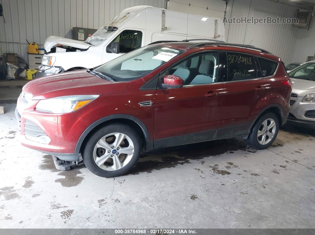 2014 Ford Escape Se Orange vin: 1FMCU9GX1EUB08700