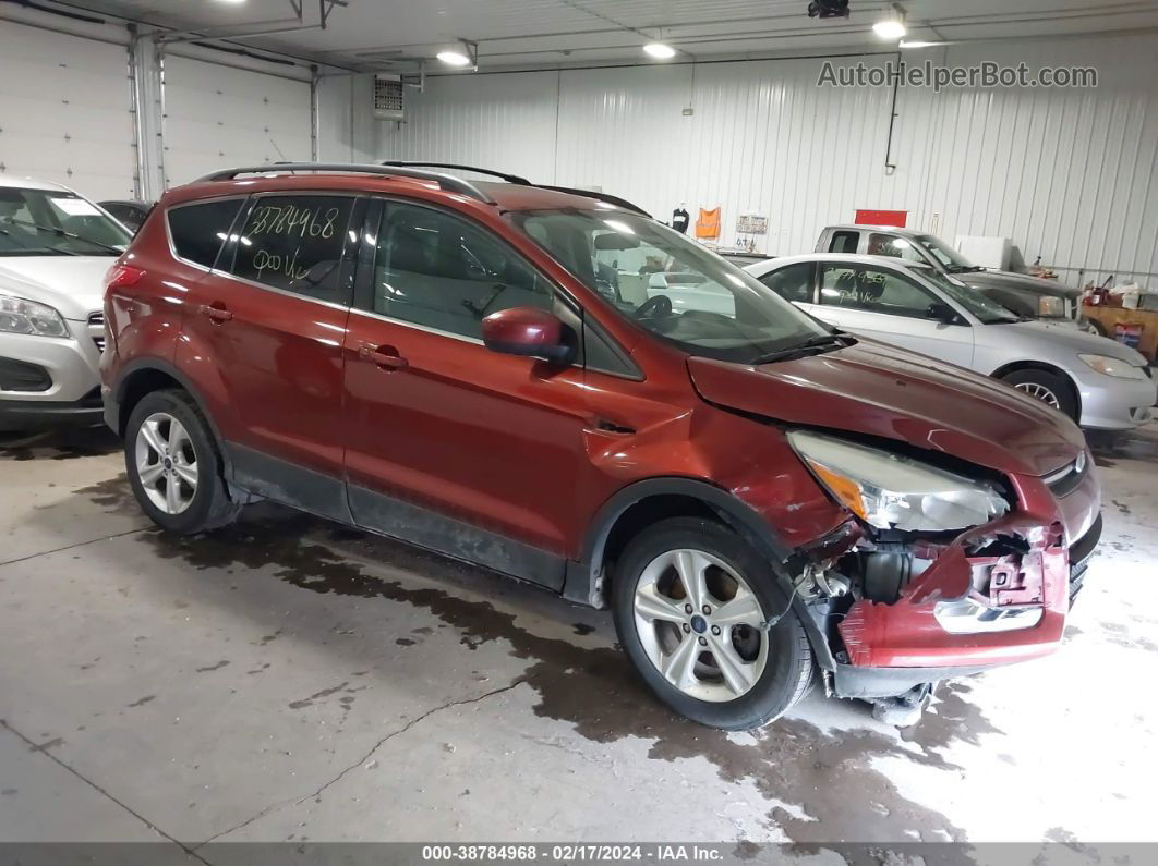 2014 Ford Escape Se Orange vin: 1FMCU9GX1EUB08700