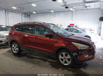 2014 Ford Escape Se Оранжевый vin: 1FMCU9GX1EUB08700