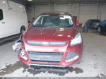 2014 Ford Escape Se Оранжевый vin: 1FMCU9GX1EUB08700