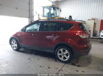 2014 Ford Escape Se Оранжевый vin: 1FMCU9GX1EUB08700