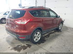 2014 Ford Escape Se Оранжевый vin: 1FMCU9GX1EUB08700